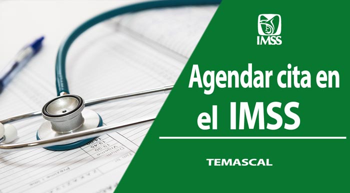 Clínicas y Hospitales del IMSS en Temascal