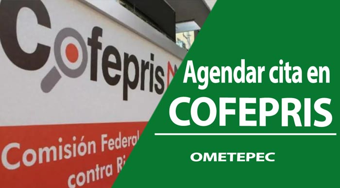 Sucursales Cofepris en Ometepec